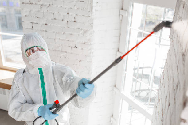 Asbestos and Lead Testing During Mold Inspection